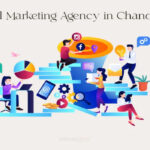 Digital marketing agency in Chandigarh